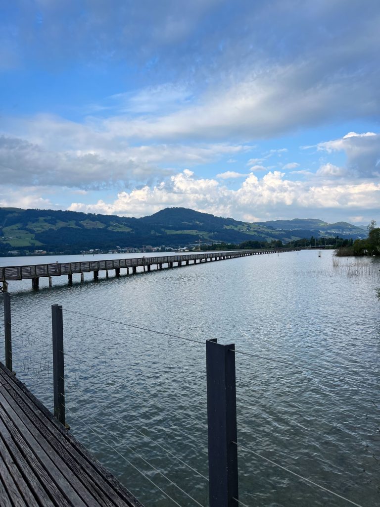 Zurich Lake_SwissPGDay